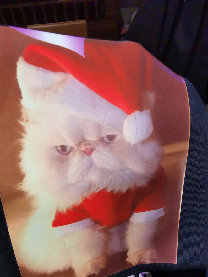 T-shirt grumpy cat christmas