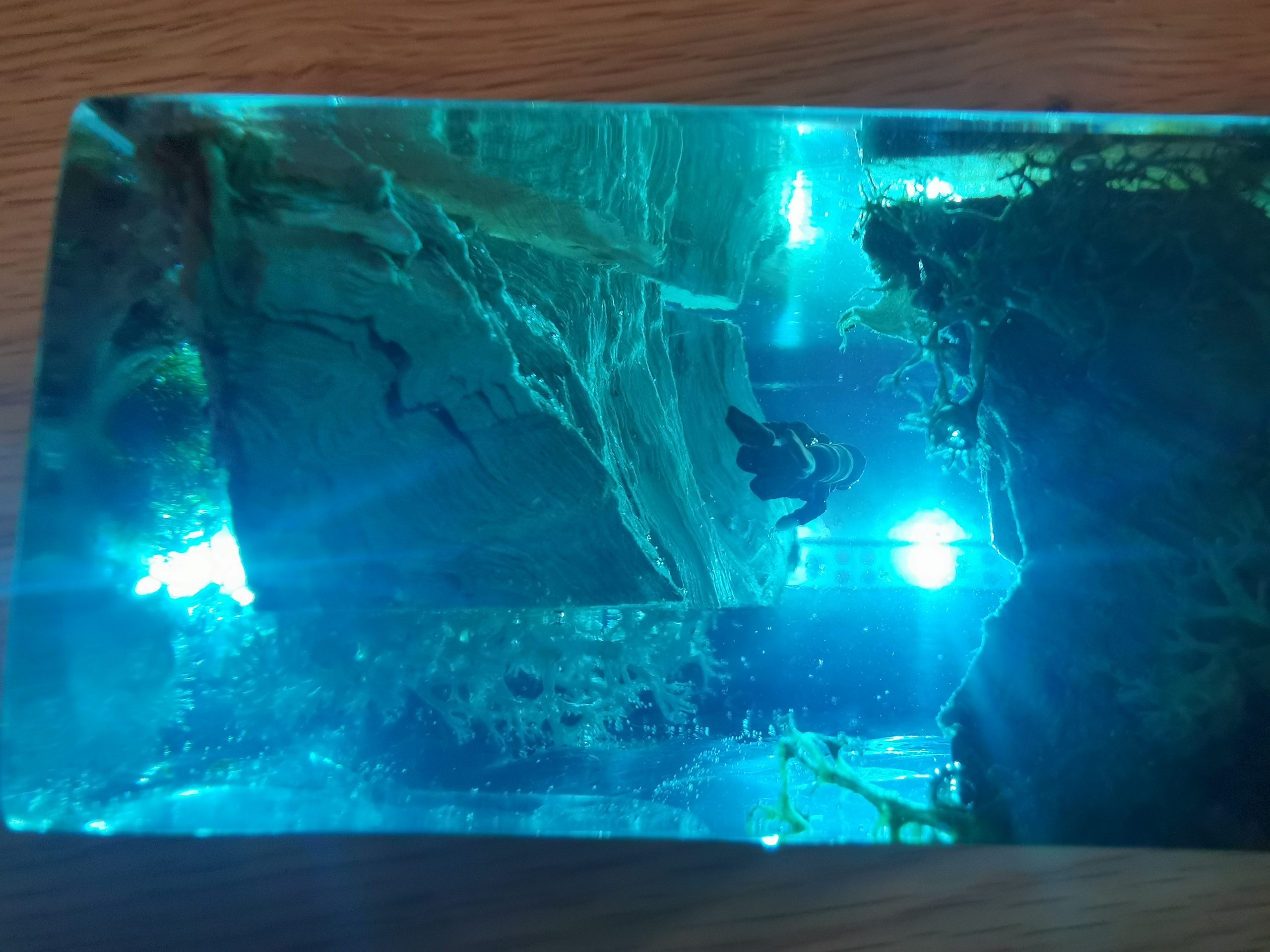 Afgewerkte walvis-duiker lamp aanzicht 3