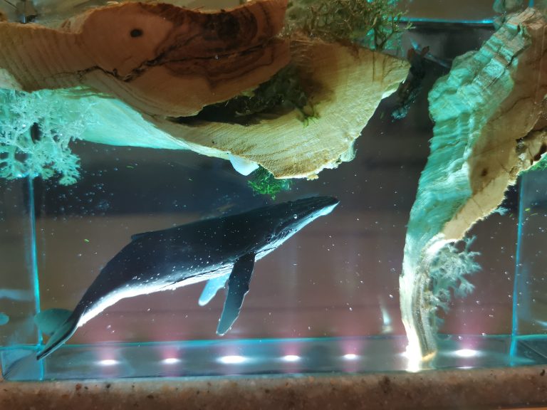 Afgewerkte walvis-duiker lamp in epoxy