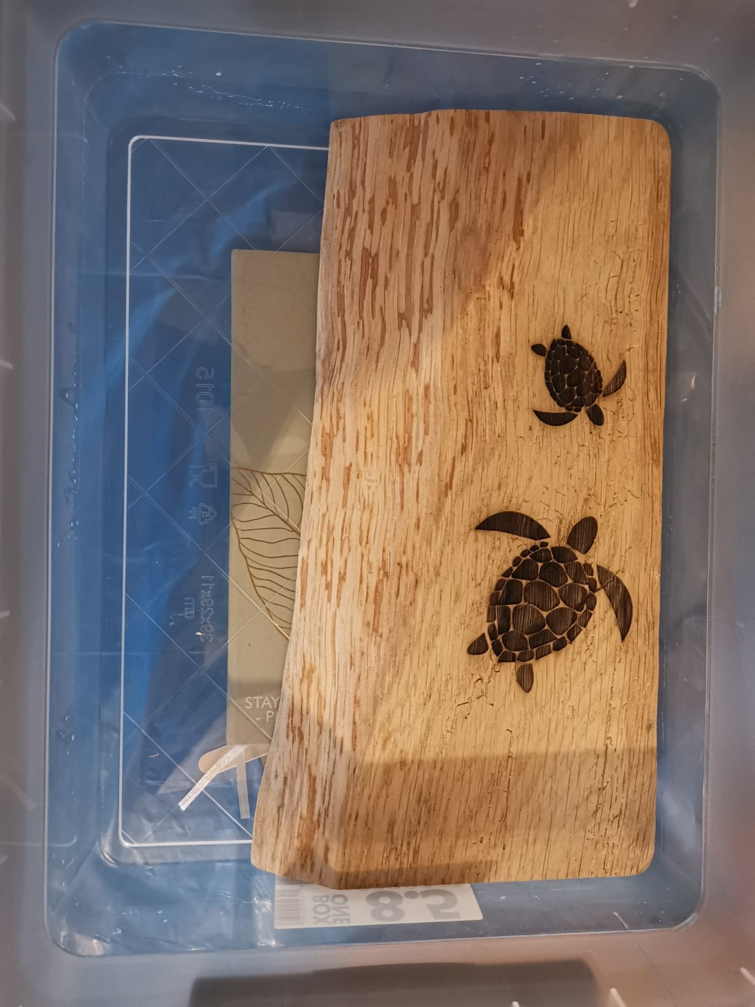 Tapasplank in plastic box als mal