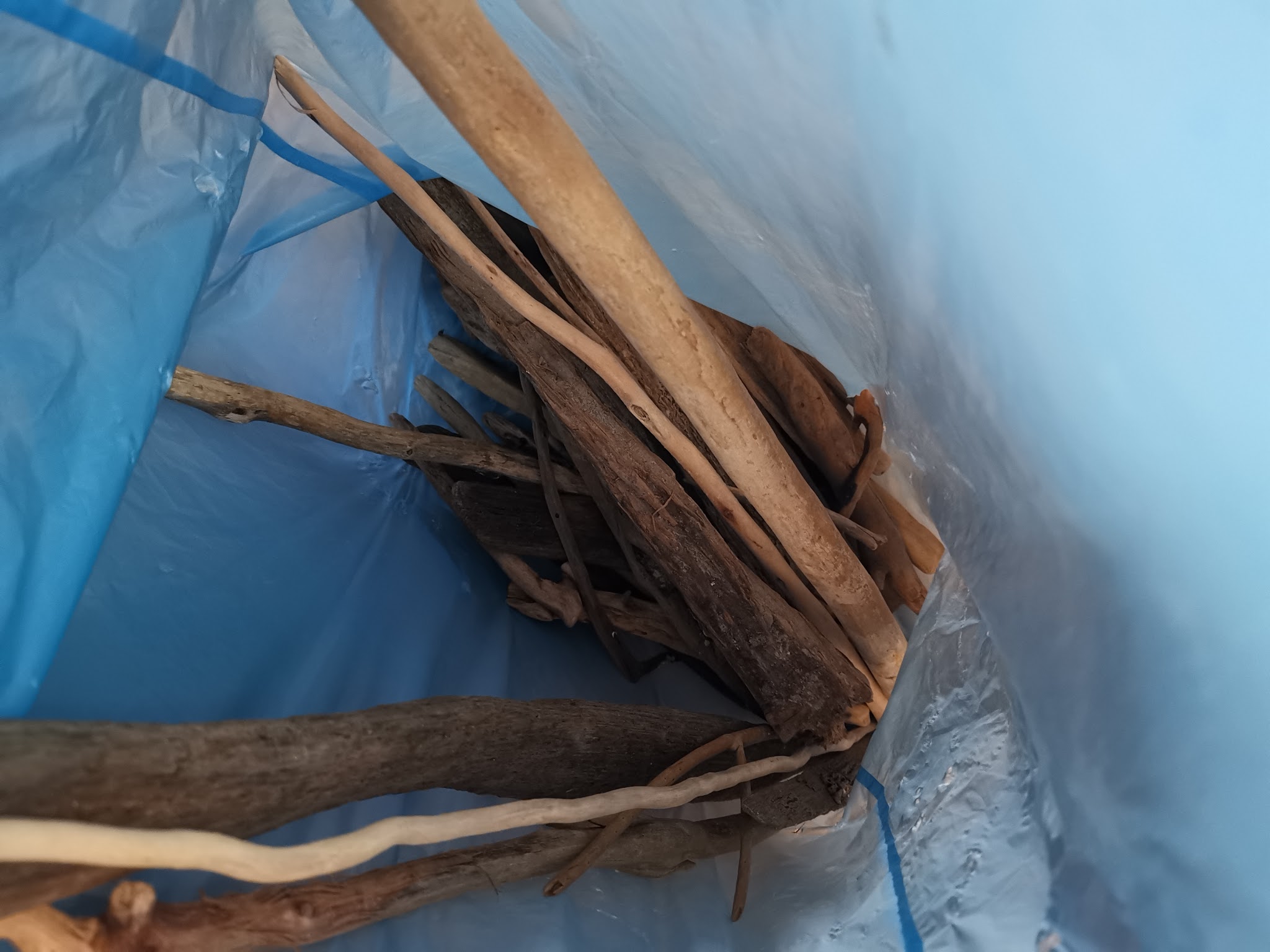 Een bak vol verweerd drijfhout meegebracht van vakantie, klaar voor verwerking